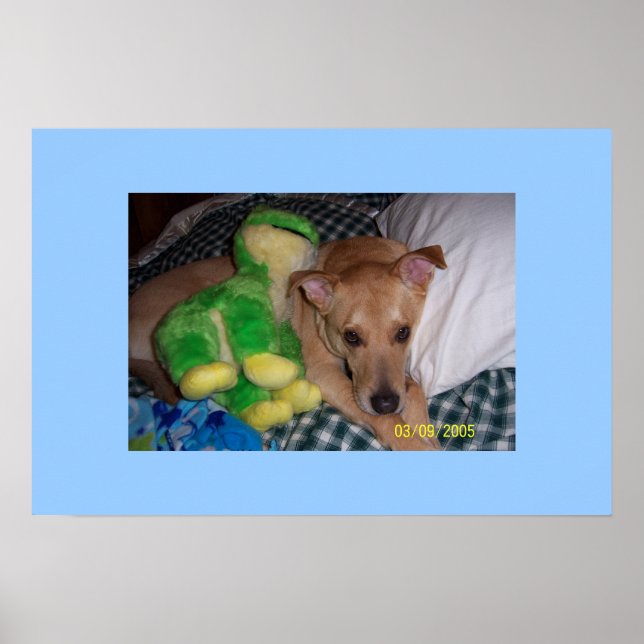 Socrates Poster (Front)