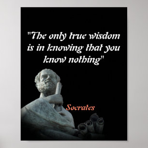 Socrates Quote On Wisdom Poster