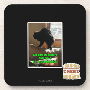 Sofa Bison Coaster