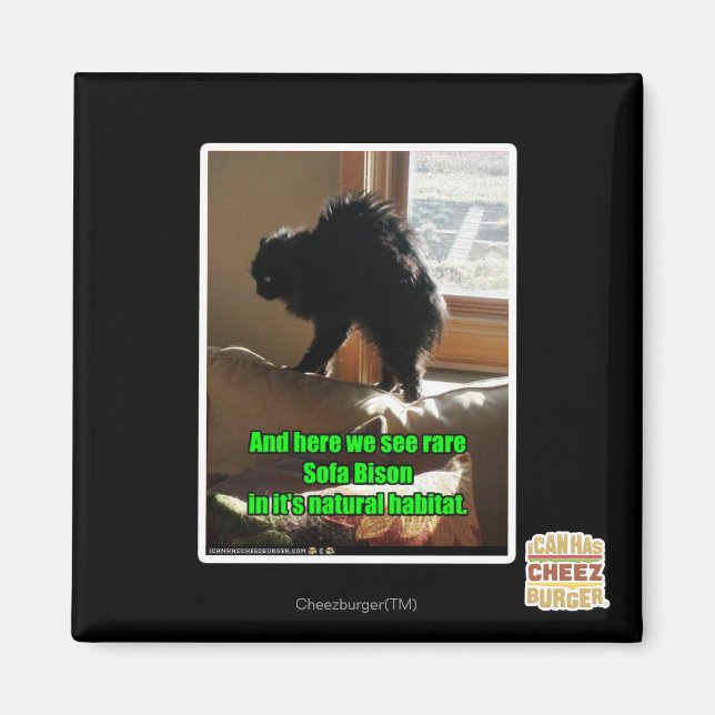 Sofa Bison Magnet (Front)