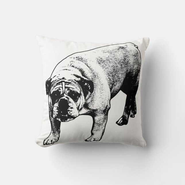 Sofa Snowfall Calm Cushion (Front)
