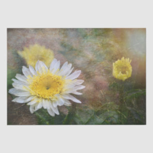 Soft and Dreamy Daisy Tissue Paper