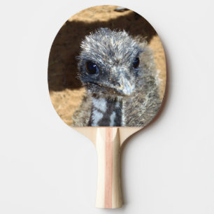 Soft And Fuzzy: Australian Baby Emu Face, Ping Pong Paddle