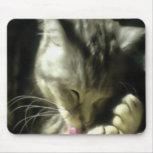 Soft And Gentle Fur And Purr Of A Grey Cat Mouse Pad