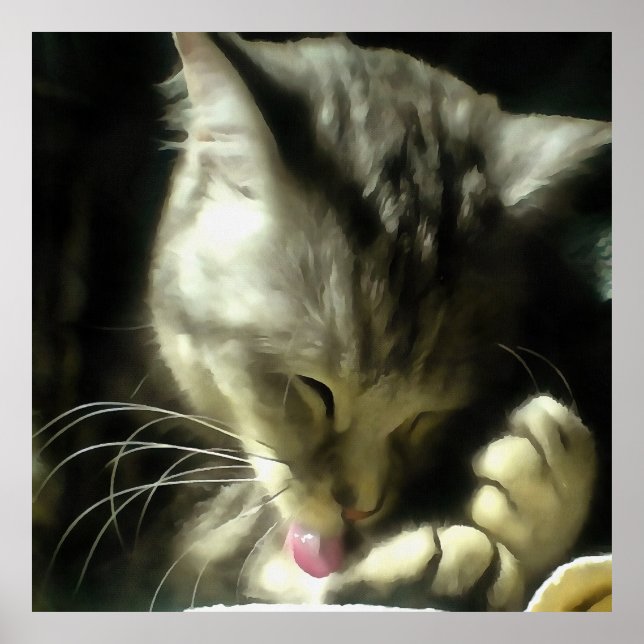 Soft And Gentle Fur And Purr Of A Grey Cat Poster (Front)