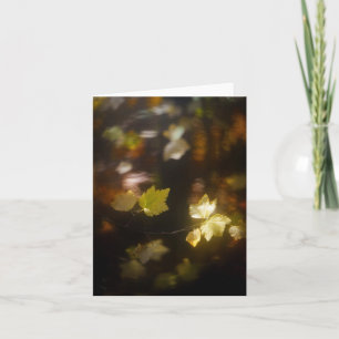 Soft Autumn Light Leaves Photo Card