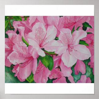 Soft Azaleas Poster