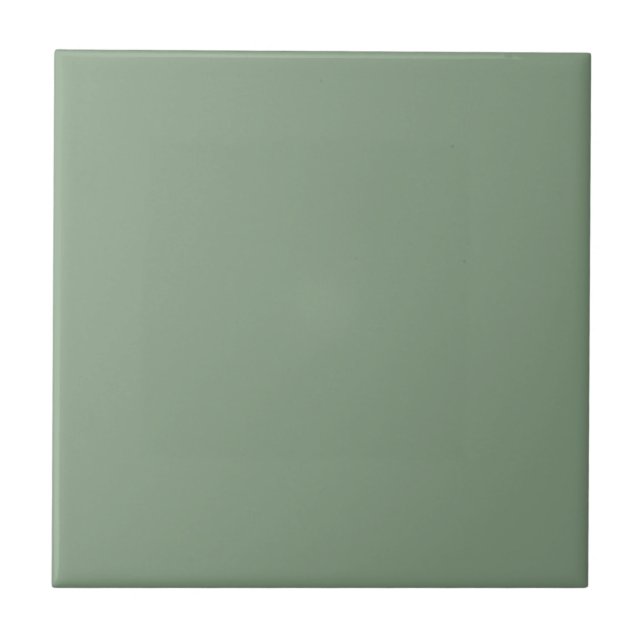 Soft Basil Green, Muted Neutral Solid Colour Ceramic Tile (Front)
