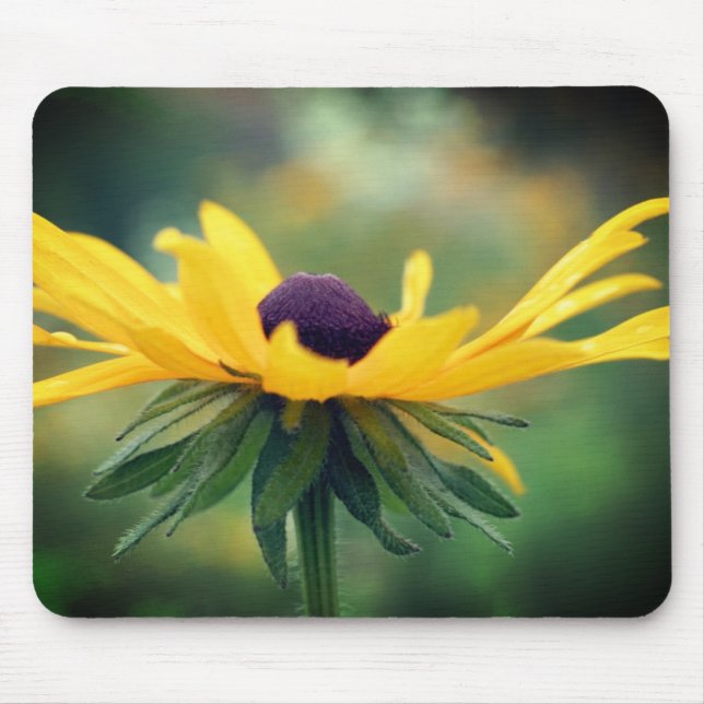 Soft Black Eyed Susan Flower  Mouse Pad (Front)