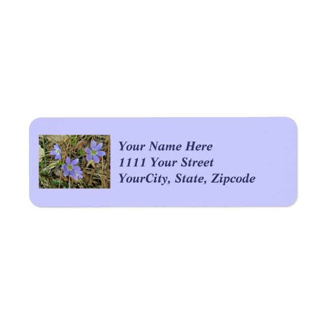 Soft Blue Hepatica Wildflower Address Label Return Address Label (Front)