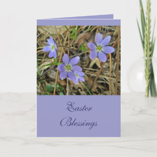 Soft Blue Hepatica Wildflower Series Holiday Card