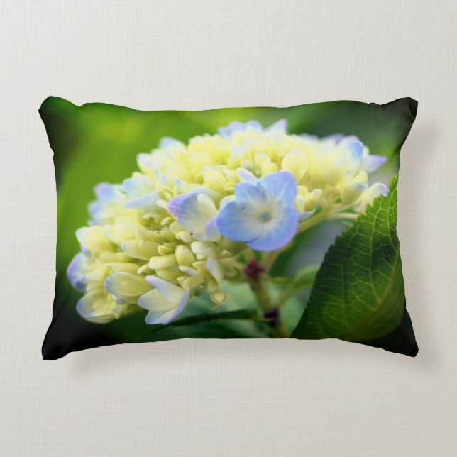 Soft  Blue Hydrangea Flower   Decorative Cushion (Front)