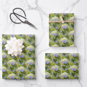 Soft Blue Hydrangea Flower Pattern Nature   Wrapping Paper Sheet