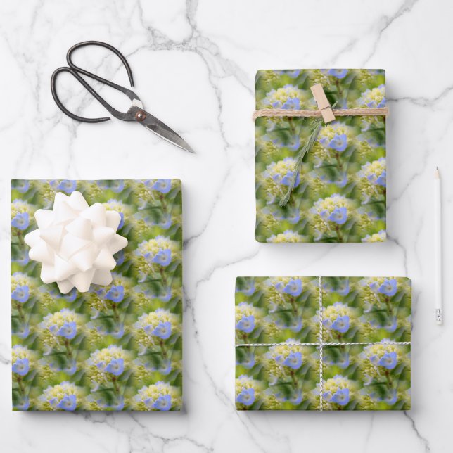 Soft Blue Hydrangea Flower Pattern Nature   Wrapping Paper Sheet (Front)
