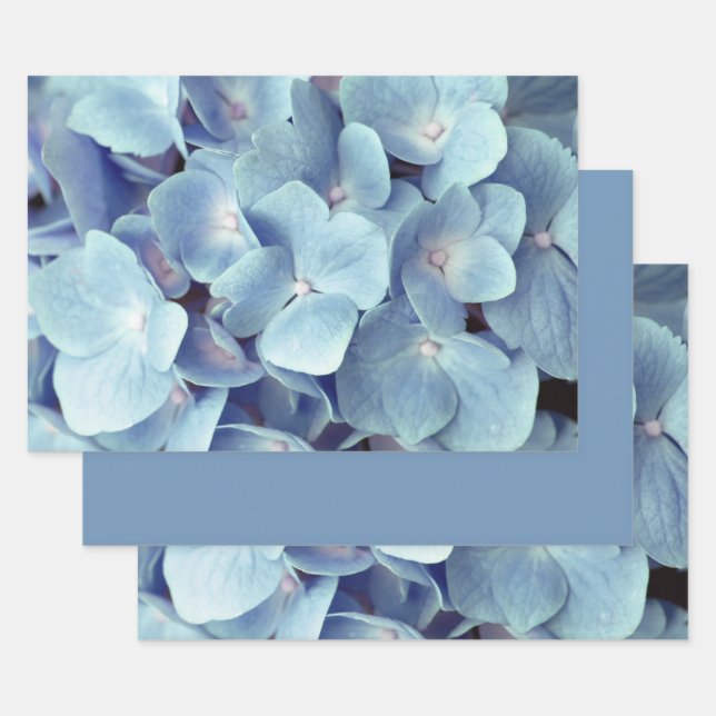 Soft Blue Hydrangea Pattern  Wrapping Paper Sheet (Set)