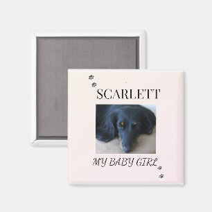 Soft Blush Pet Photo with Paw Print Accents Magnet