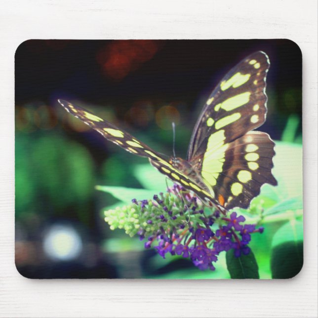Soft Butterfly On Flower Nature  Mouse Pad (Front)