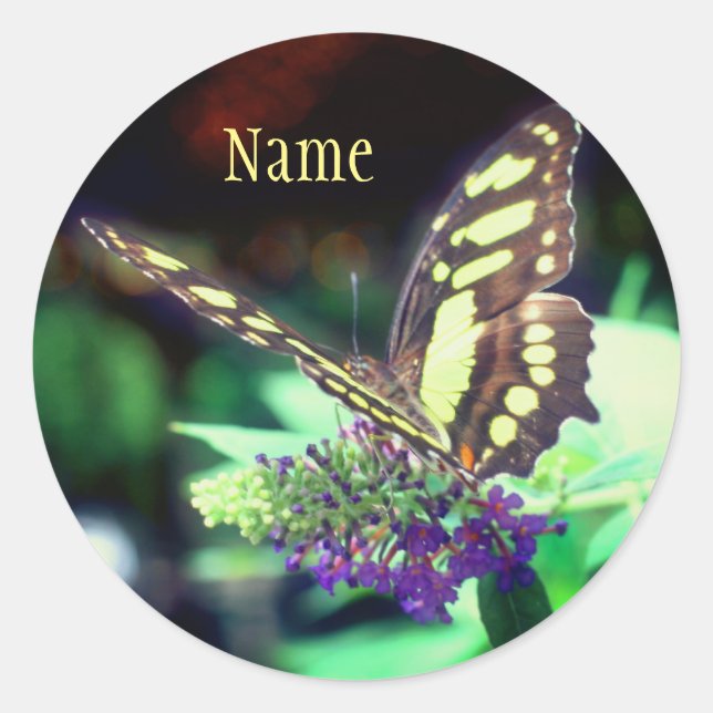 Soft Butterfly On Flower Nature Personalised Classic Round Sticker (Front)
