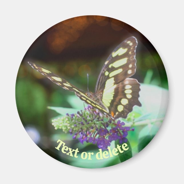 Soft Butterfly On Flower Nature Personalised Magnet (Front)