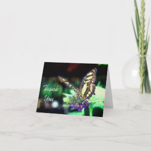 Soft Butterfly On Flower Nature Thank You Card