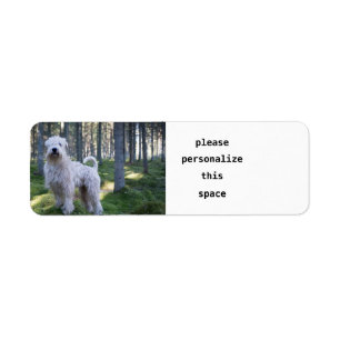 soft caoted wheten terrier full in woods return address label