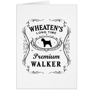 Soft Coated Wheaten Terrier