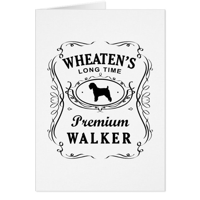 Soft Coated Wheaten Terrier (Front)