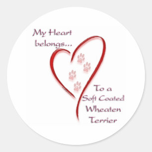 Soft Coated Wheaten Terrier Belongs Classic Round Sticker
