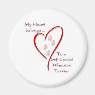 Soft Coated Wheaten Terrier Belongs Magnet