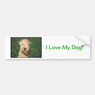 Soft Coated Wheaten Terrier Bumper Sticker