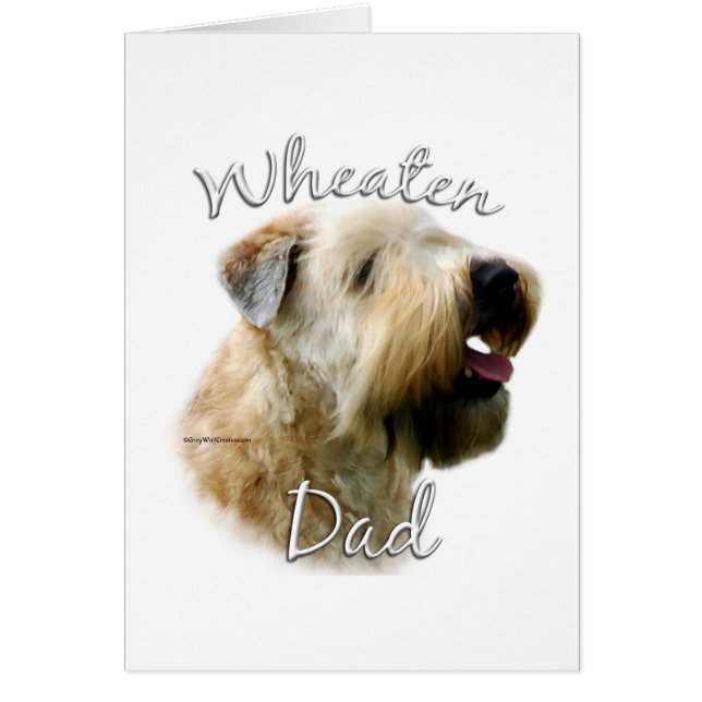 Soft Coated Wheaten Terrier Dad 2 (Front)