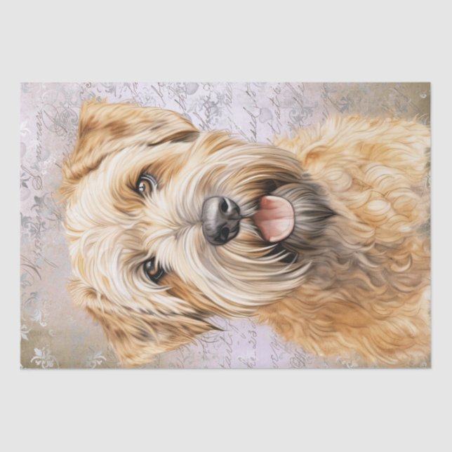 Soft-Coated Wheaten Terrier Dog Tissue Paper (Front)