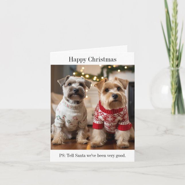 Soft Coated Wheaten Terrier Dogs Christmas Card (Front)