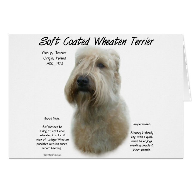Soft Coated Wheaten Terrier History Design (Front Horizontal)