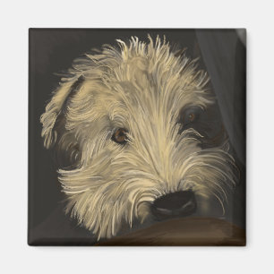 Soft Coated Wheaten Terrier Magnet