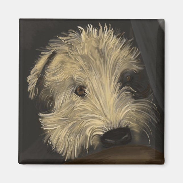 Soft Coated Wheaten Terrier Magnet (Front)
