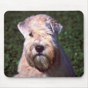 Soft-coated Wheaten Terrier Mouse Pad