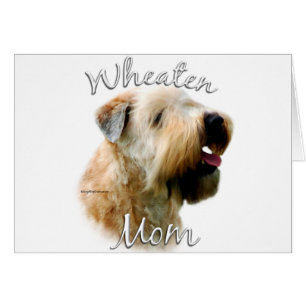 Soft Coated Wheaten Terrier Mum 2