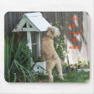 Soft Coated Wheaten Terrier on wishing well Mouse Pad