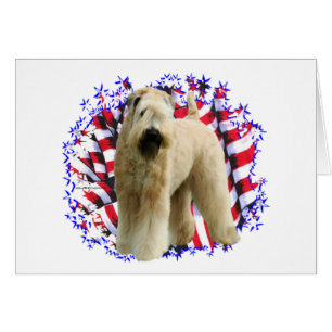 Soft Coated Wheaten Terrier Patriot