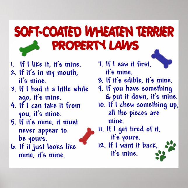SOFT-COATED WHEATEN TERRIER PL2 POSTER (Front)
