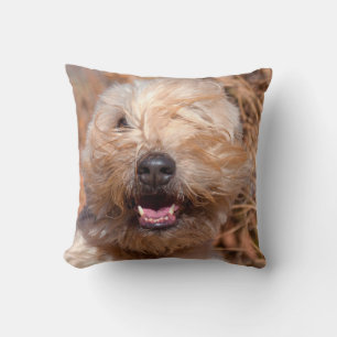 Soft Coated Wheaten Terrier portrait Cushion