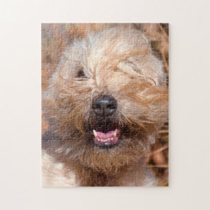 Soft Coated Wheaten Terrier portrait Jigsaw Puzzle
