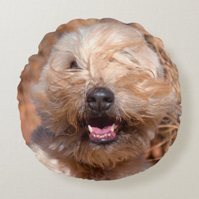Soft Coated Wheaten Terrier portrait Round Cushion (Front)