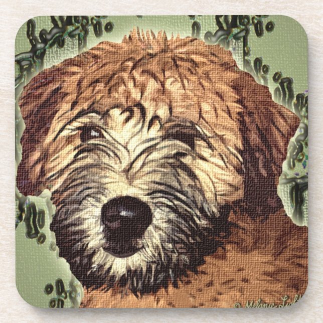 Soft-Coated Wheaten Terrier Puppy with Wet Face Coaster (Front)