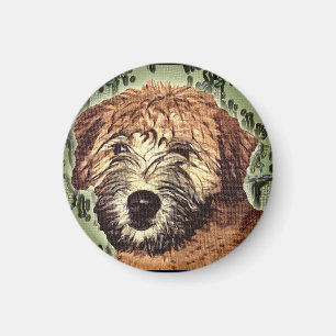 Soft-Coated Wheaten Terrier Puppy with Wet Face Magnet
