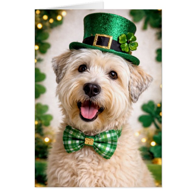 Soft Coated Wheaten Terrier St. Patrick’s Day Card (Front)