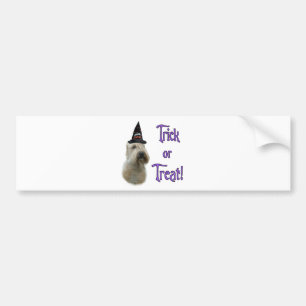 Soft Coated Wheaten Trick Bumper Sticker