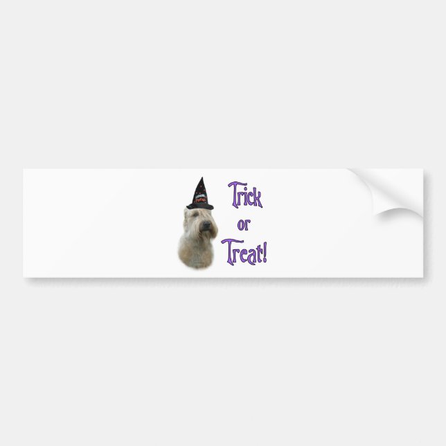 Soft Coated Wheaten Trick Bumper Sticker (Front)