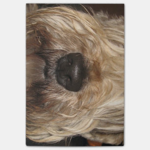 soft coated wheaton terrier.png post-it notes